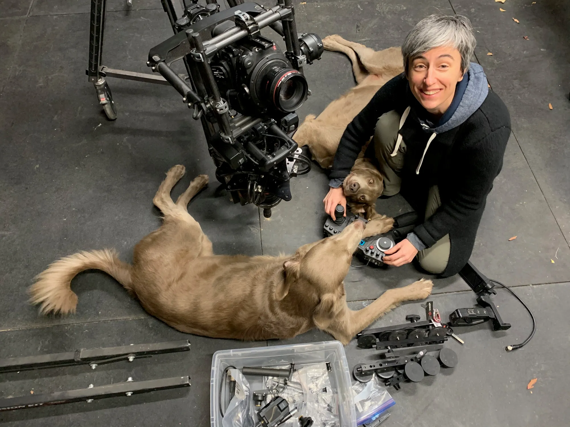 Kate crouched on a studio floor beside a cinema camera rig, grinning as two grey dogs sprawl at her feet